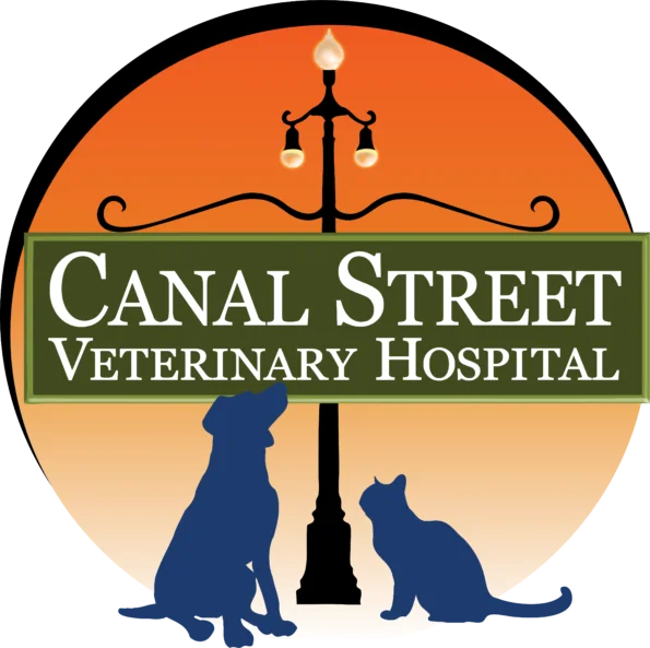 Canal 595x593.webp