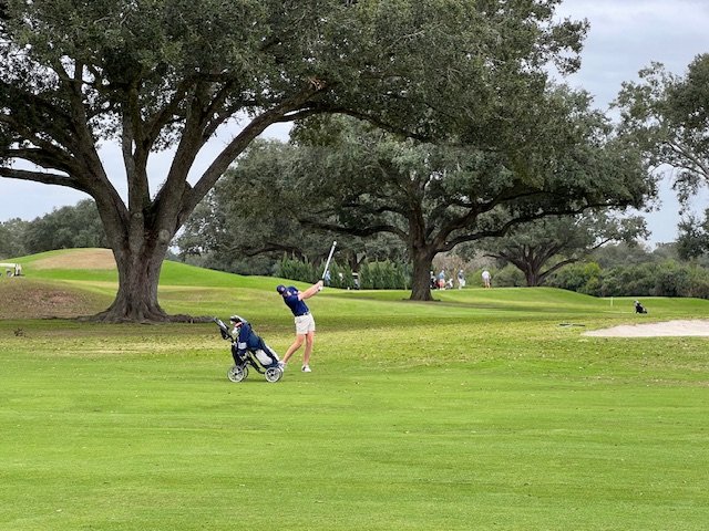 Img 9595