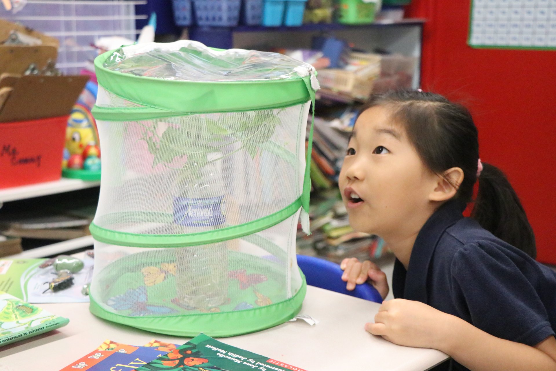 lower school student experiment